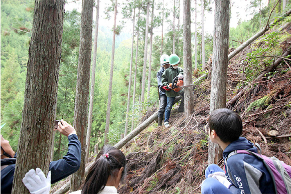 京都の里山で森林体験